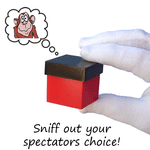 पशु दृष्टि