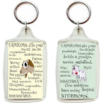 Zodiac Key Chain - CAPRICORN-gifts-WonderShop.In