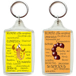 Zodiac Key Chain - SCORPIO-gifts-WonderShop.In
