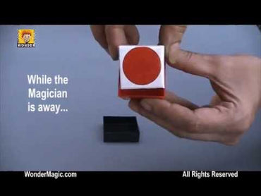 रंग दृष्टि