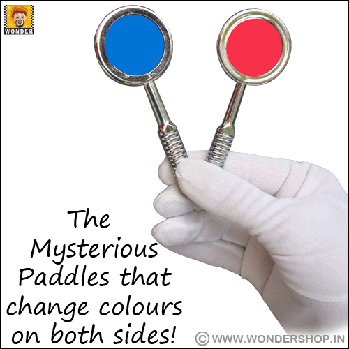 Colour Changing Paddles