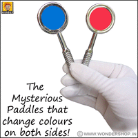 Colour Changing Paddles