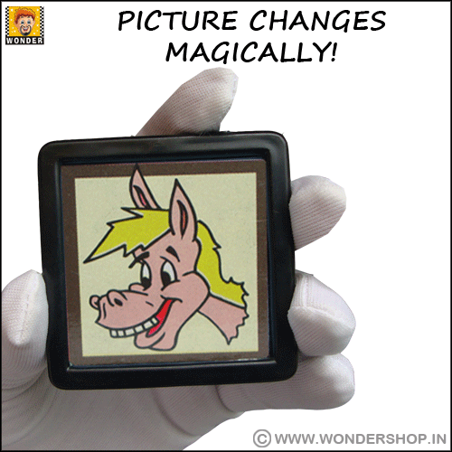 Model Magic Picture Frame Magic Photo Frame Magic Trick | WonderShop.In