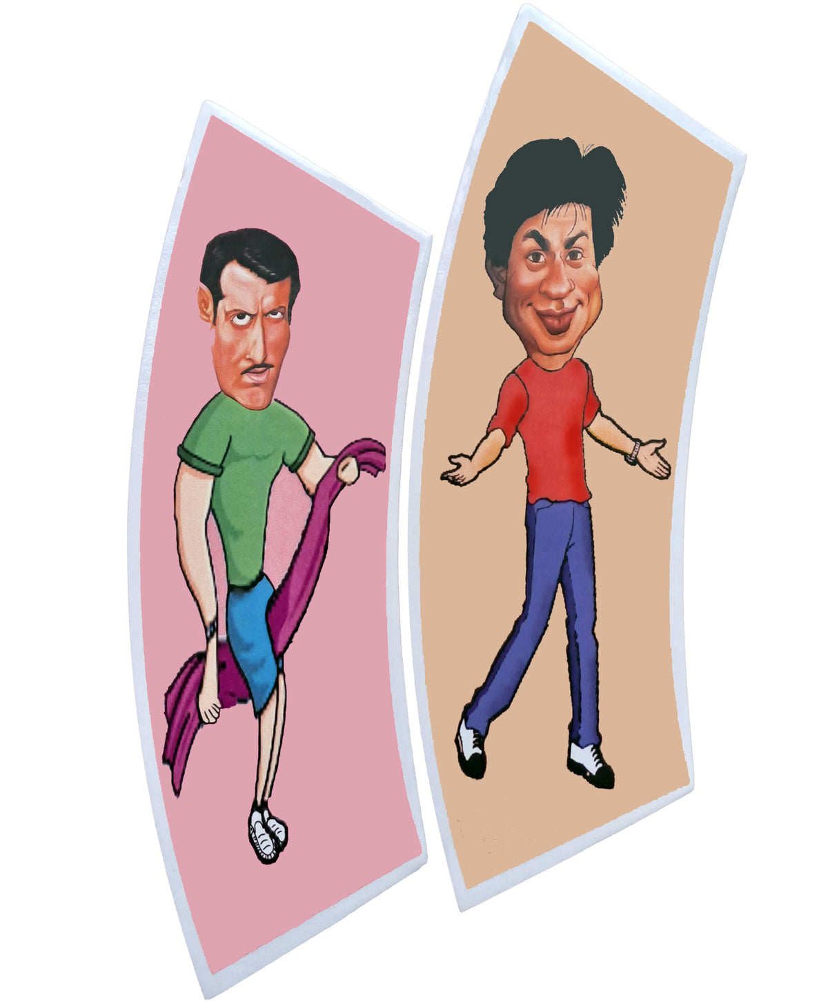 Tiger and Pathaan-puzzles-WonderShop.In