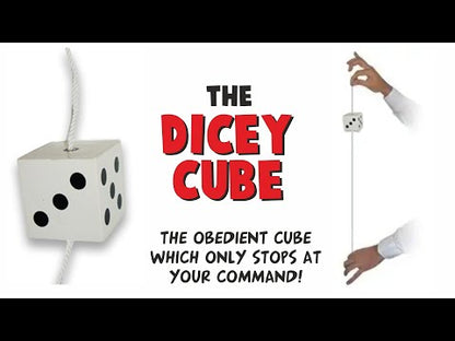 Dicey Cube