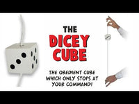 Dicey Cube